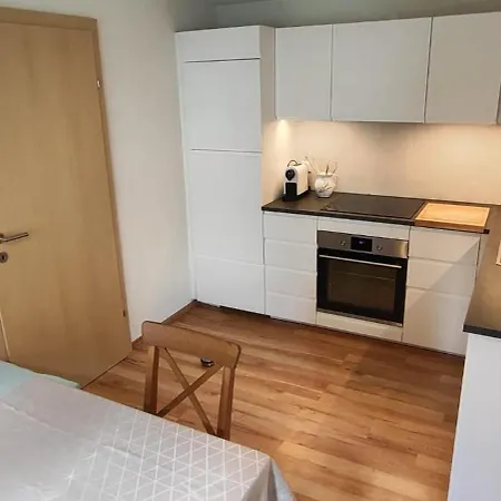 Lägenhet Elisabeth Laimer Bad Goisern